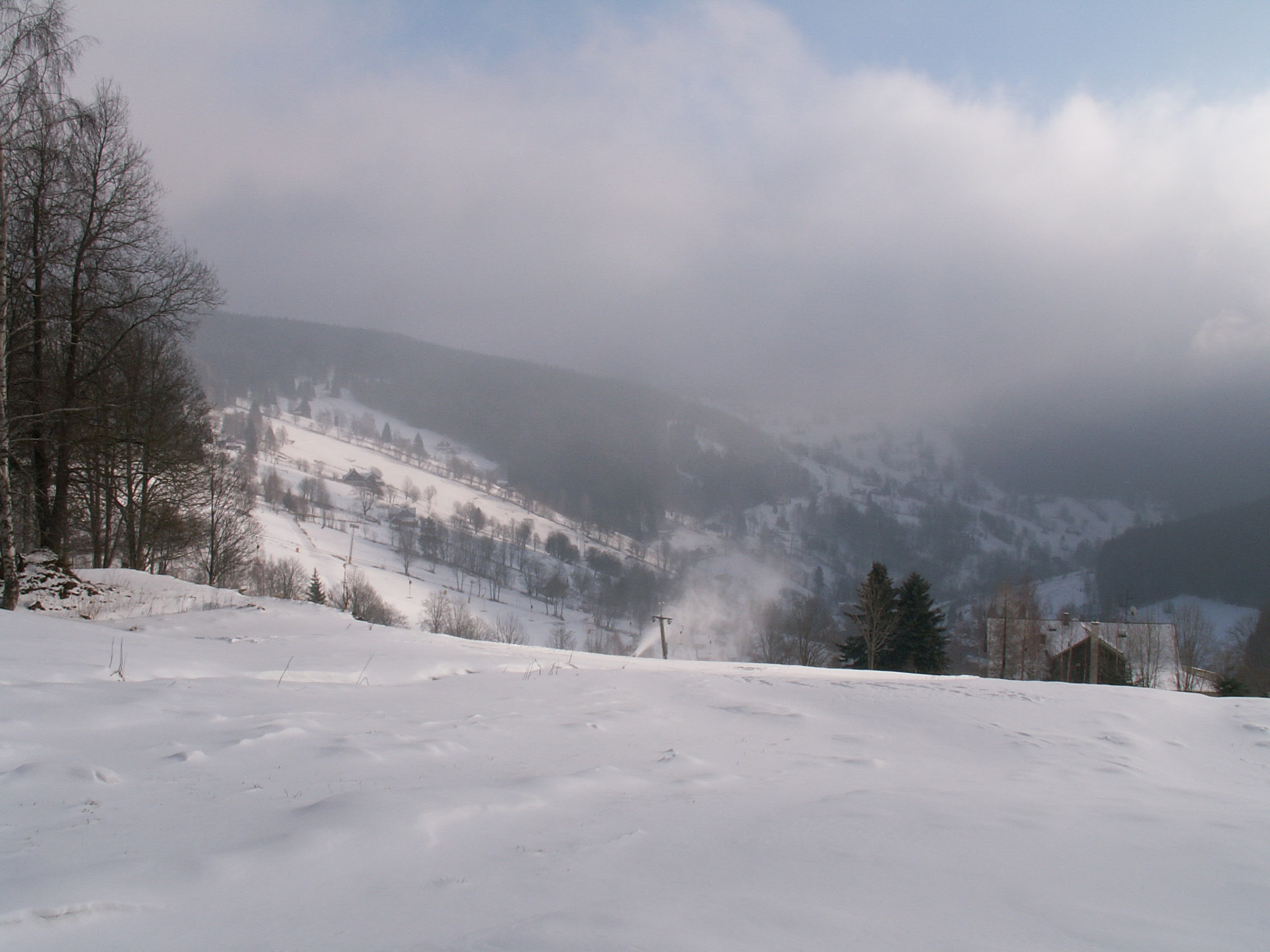 koně-prosinec (Karpacz) 095.jpg