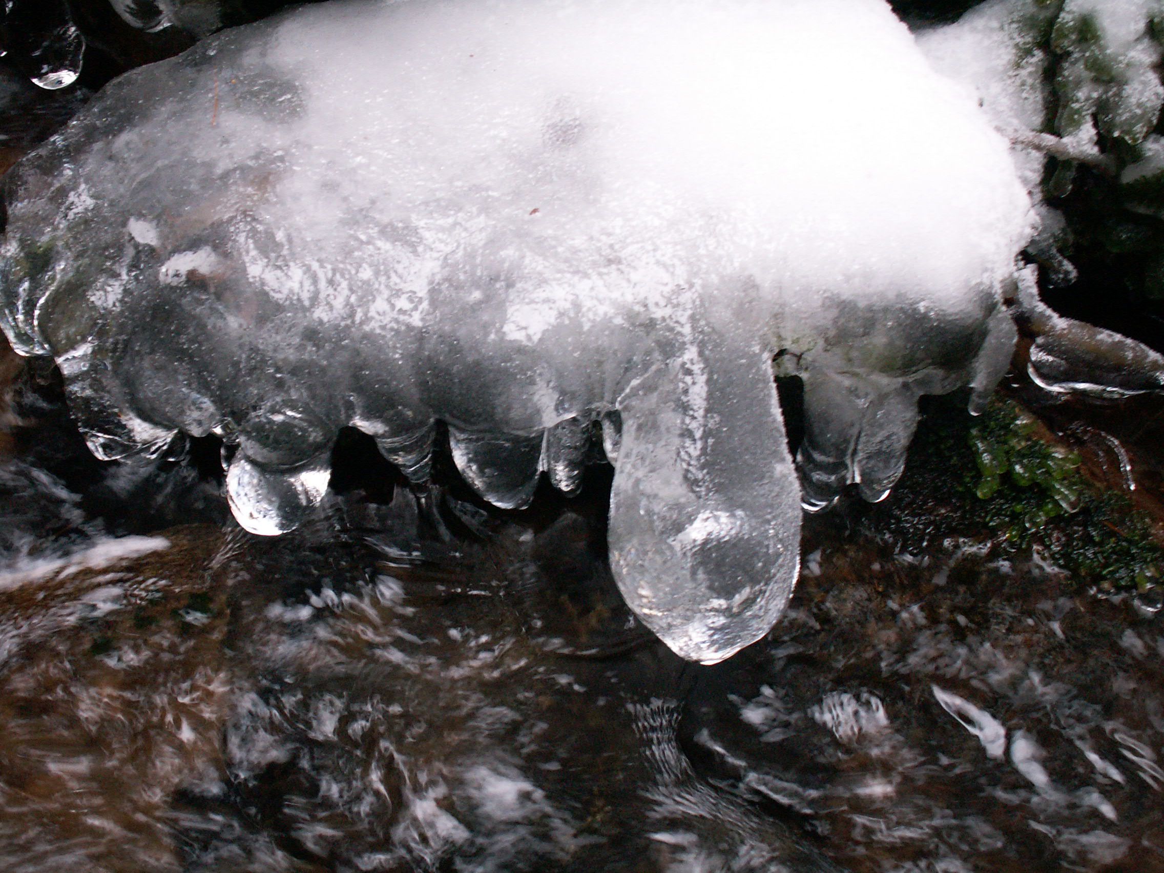 koně-prosinec (Karpacz) 098.jpg