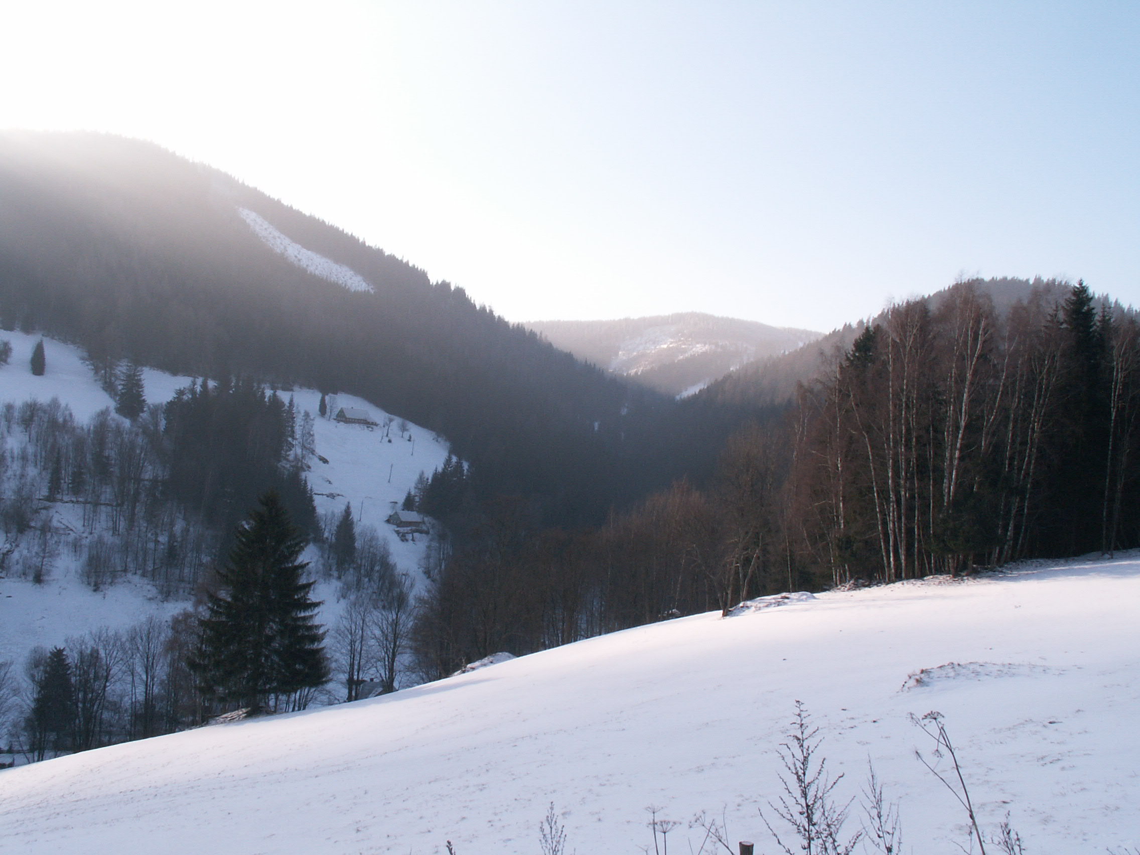 koně-prosinec (Karpacz) 068.jpg